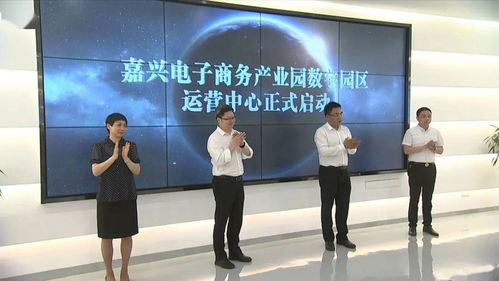 數(shù)字化與電商一體化 這個(gè)科技中介服務(wù)園區(qū)為何如此厲害